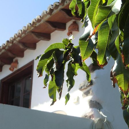 Villa Delfines Agulo Exterior foto